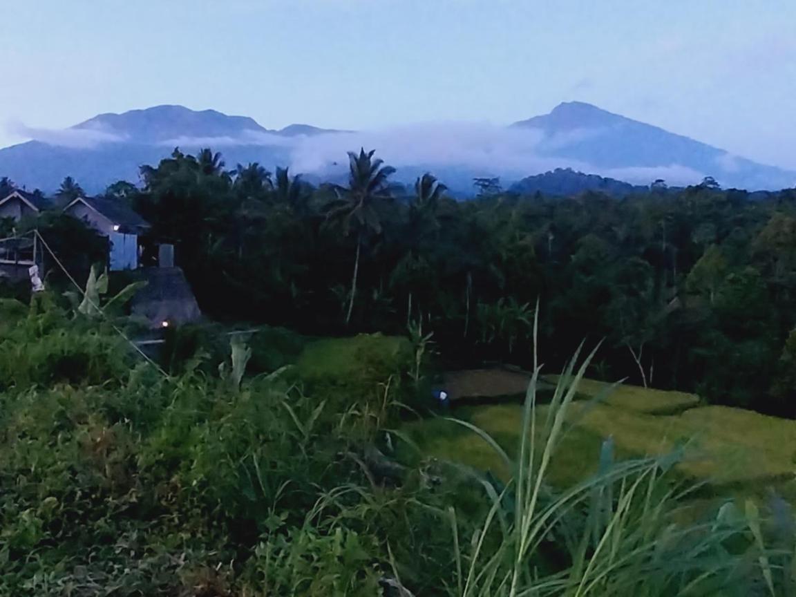 Raturinjani Homestay Selong Exterior foto